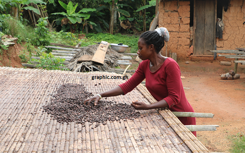 cocoa